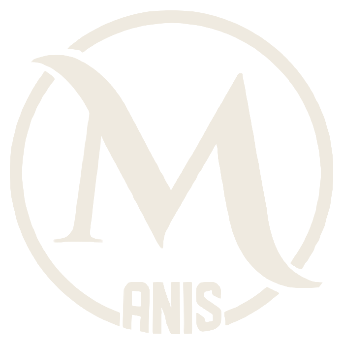 Mohamed Anis